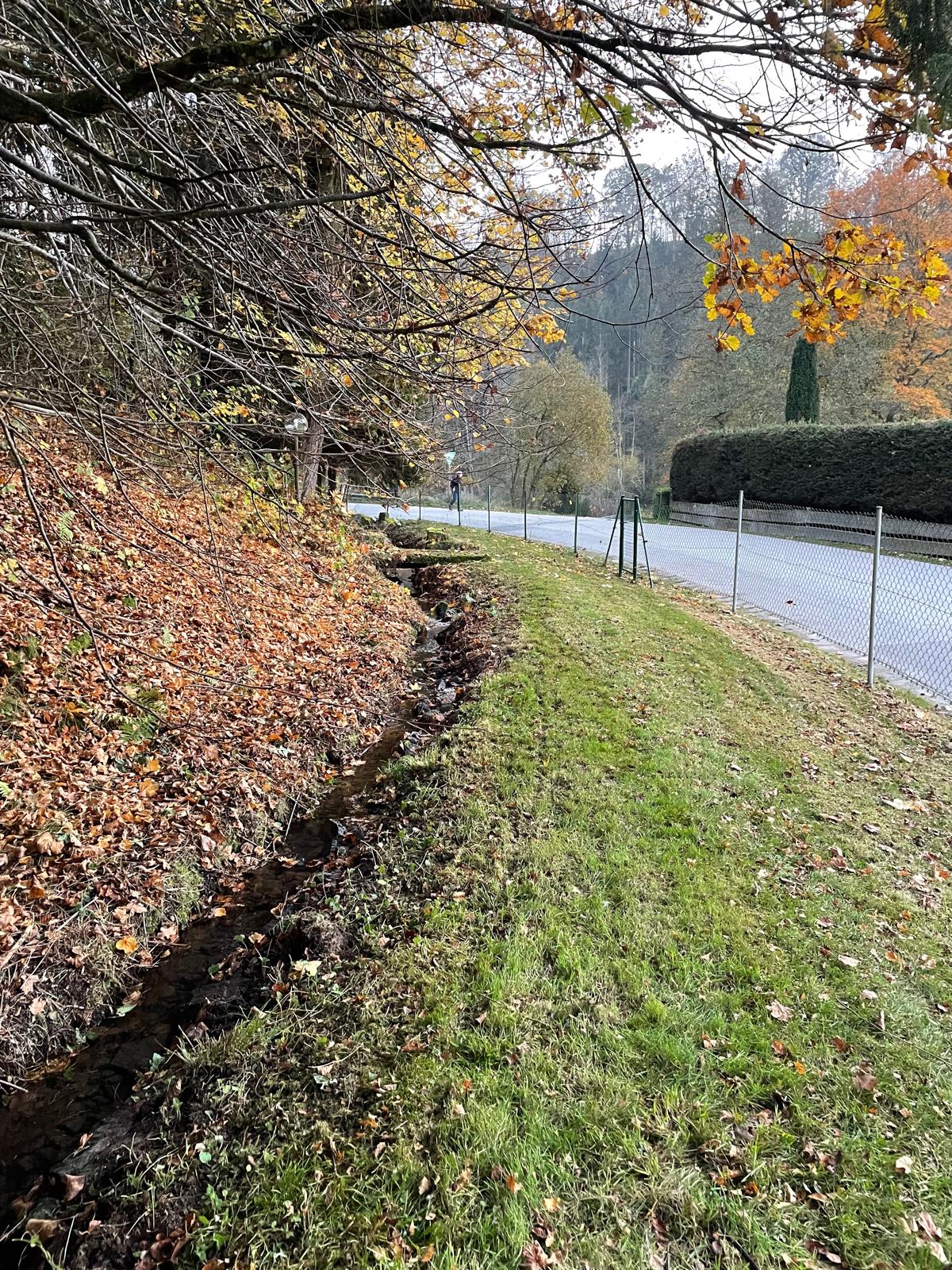 Grünstreifen nachher
